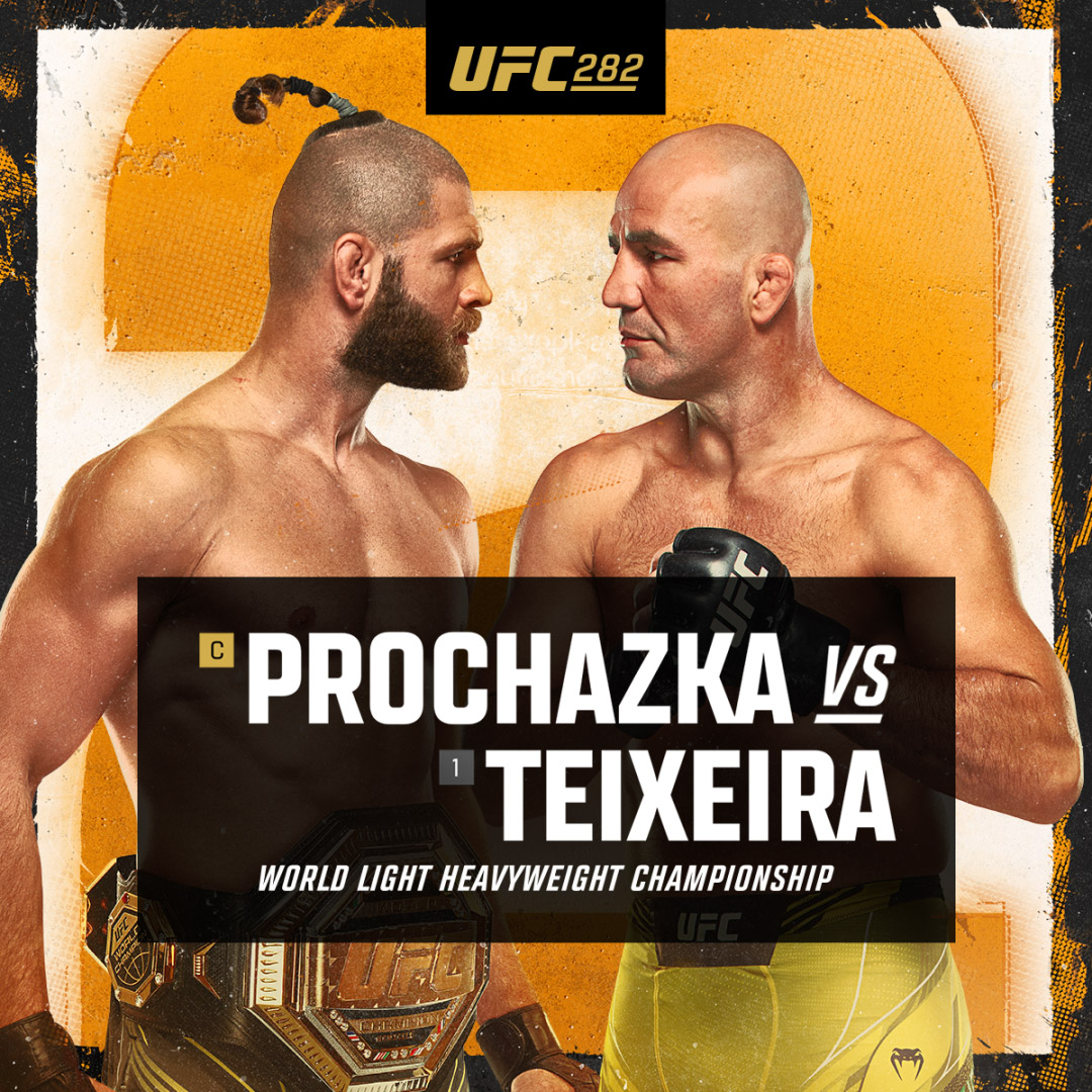 UFC 282