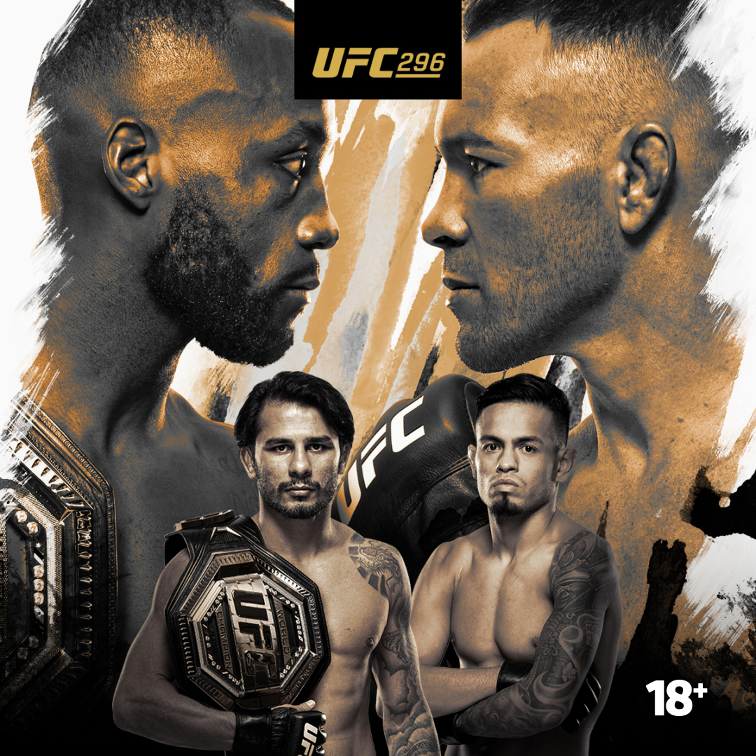 UFC296 poster