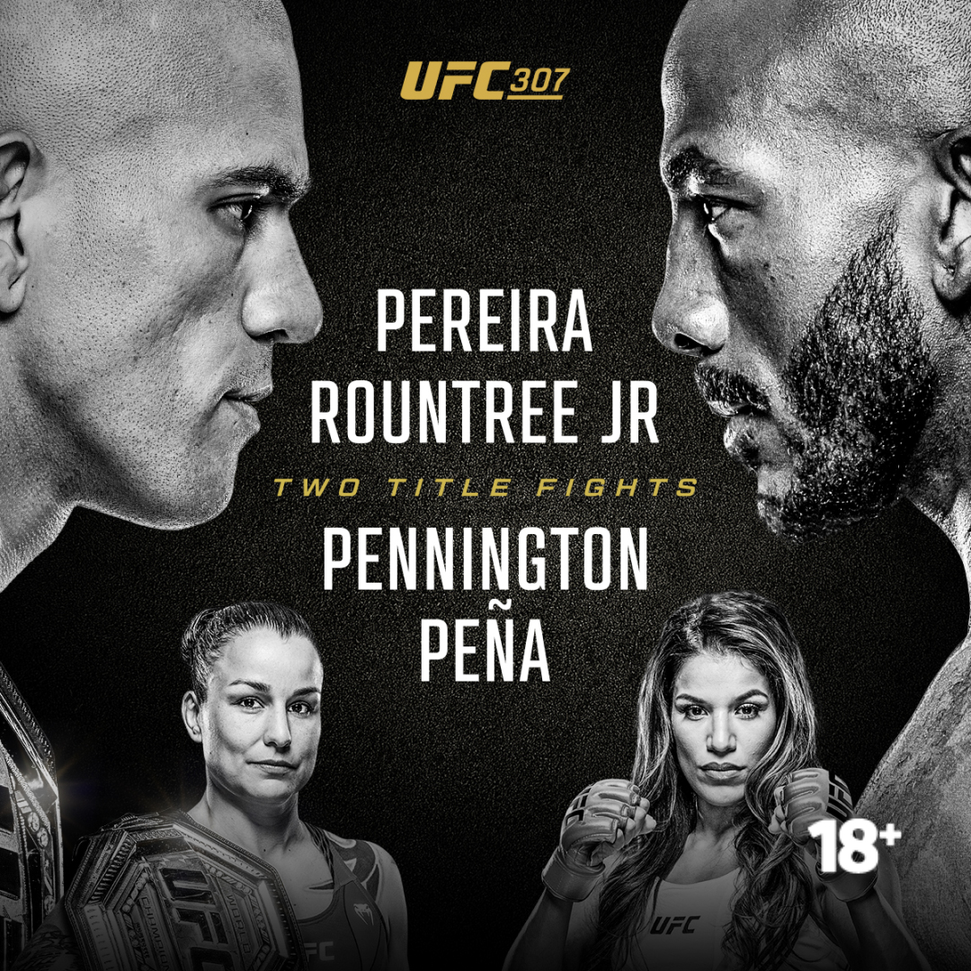 UFC 307