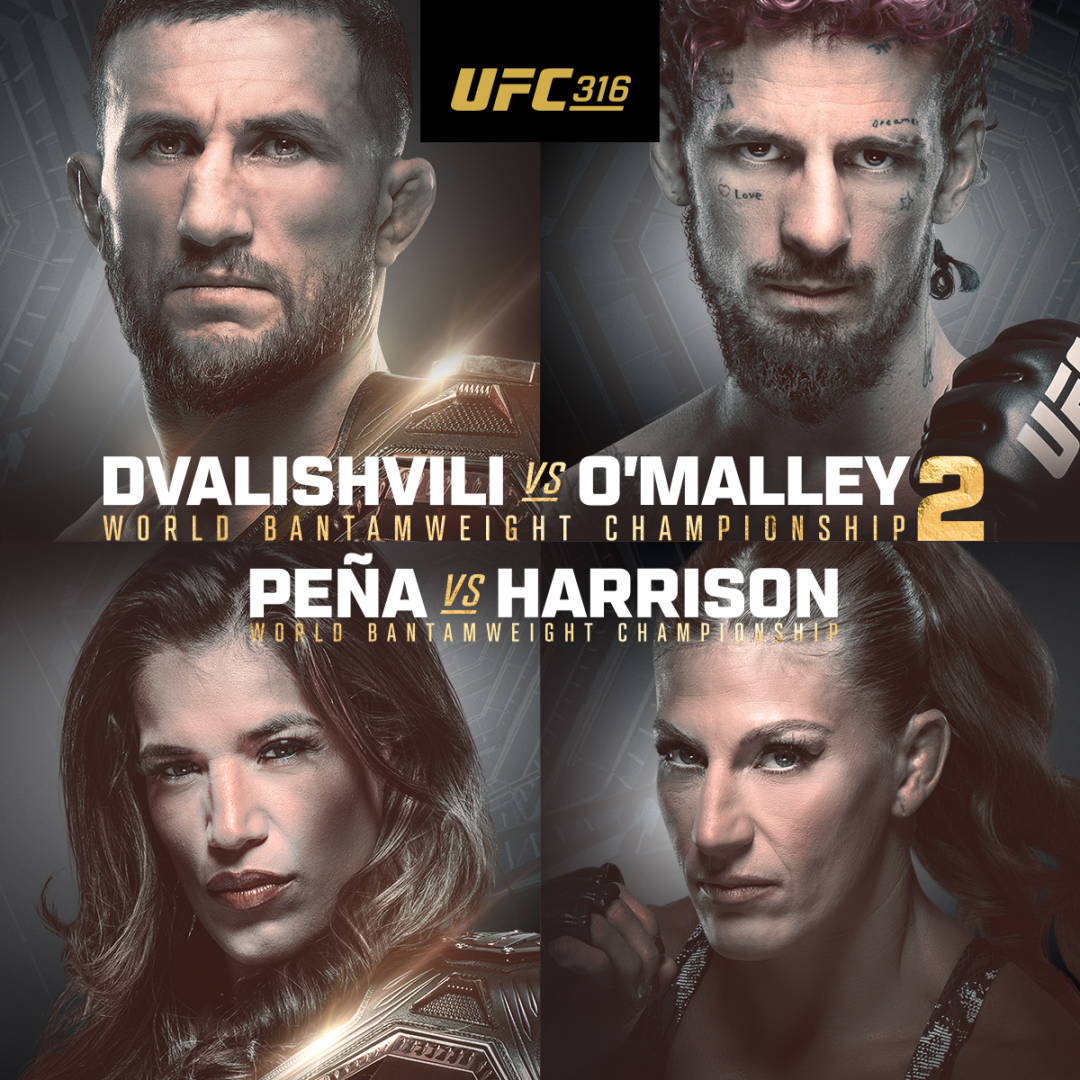 UFC 316
